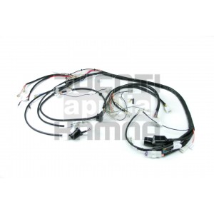 Wiring harness - Ducati Bevel 900 SS/MHR